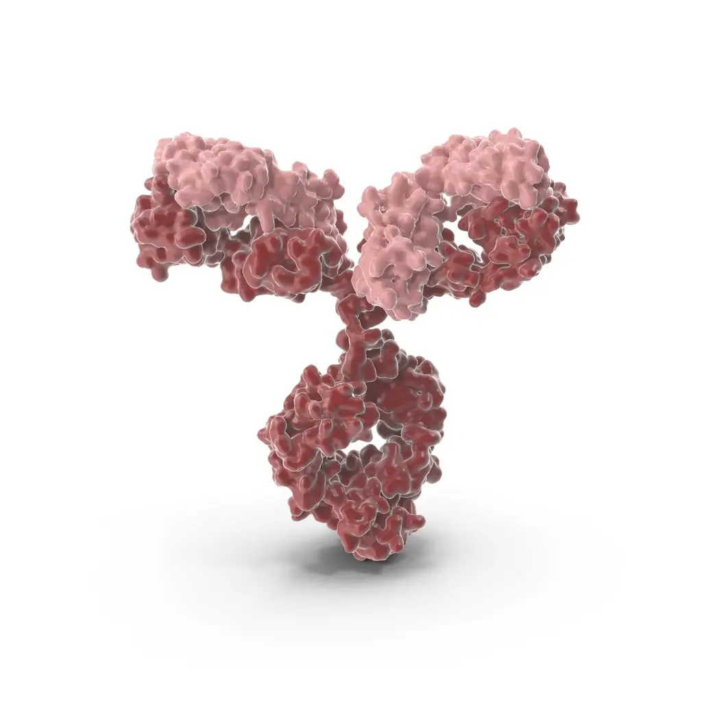Custom Anti-Peptide antibodies ( up to 20-aa, peptide amounts upgrade; conjugation, 1 goat, ELISA, aff pure) - 1 set