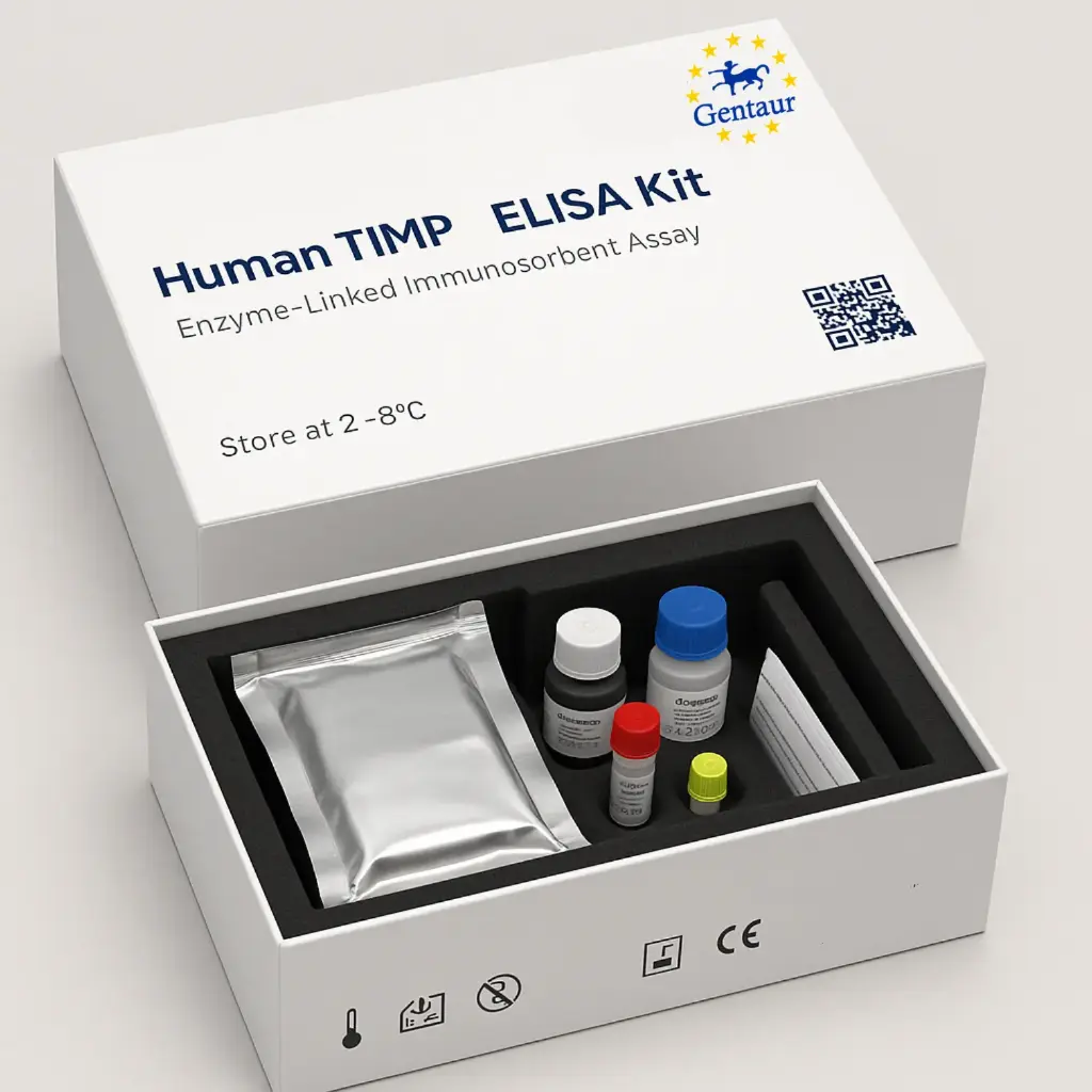 Human tissue inhibitors of metalloproteinase 3 TIMP 3 ELISA Kit